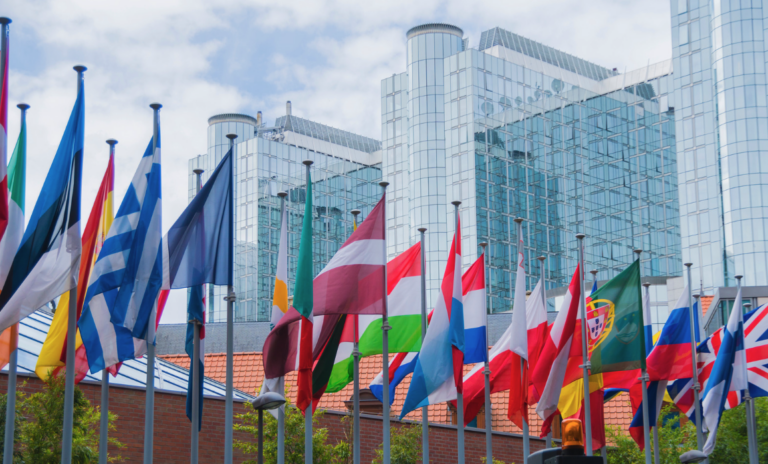 Europees Parlement - STEK fgassen