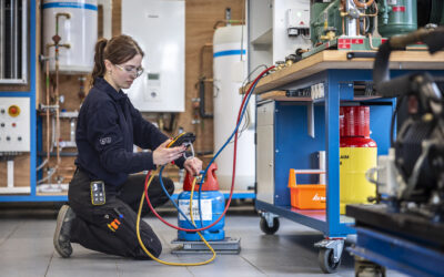 A1/A2-examens gestart: wat betekent dit voor jou?